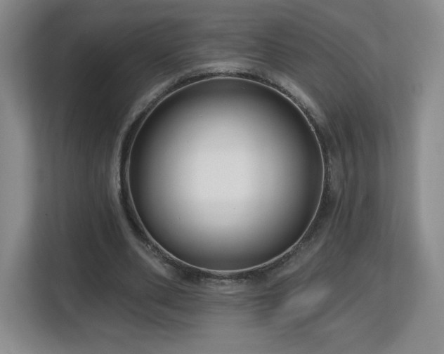 X0000112800486200908211136