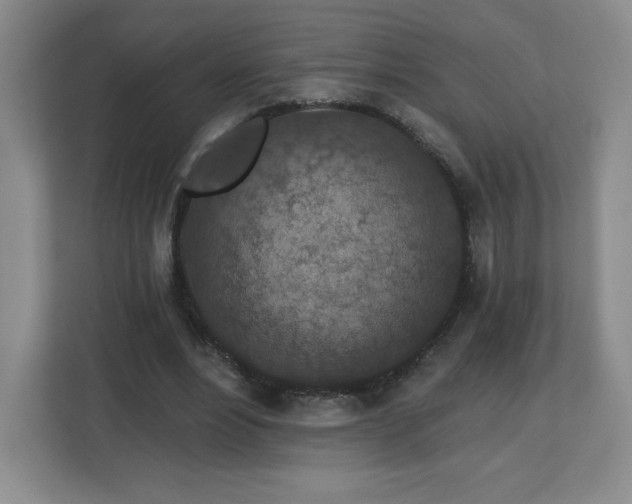 X0000112800488200908211136