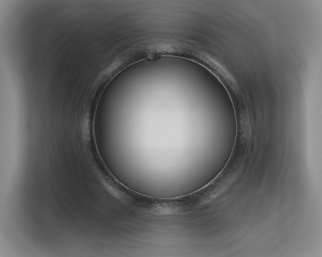 X0000112800489200908211136