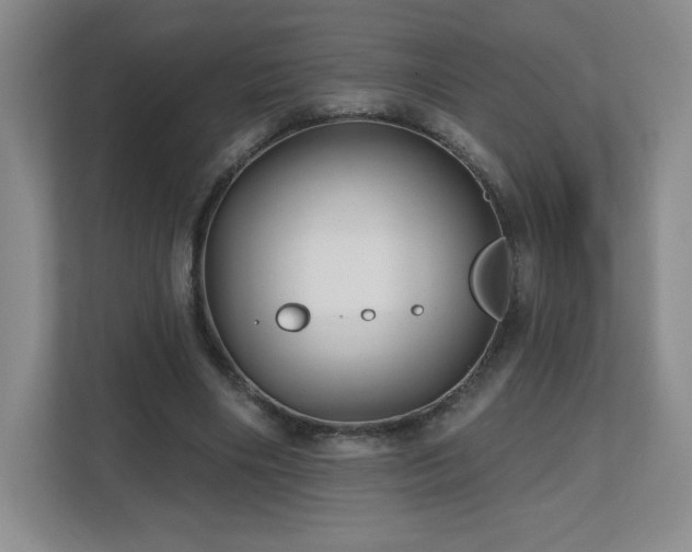 X0000112800490200908211136