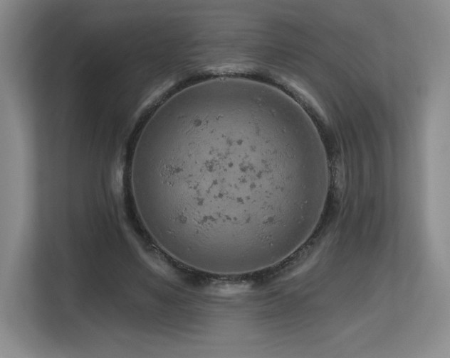 X0000112800491200908211136
