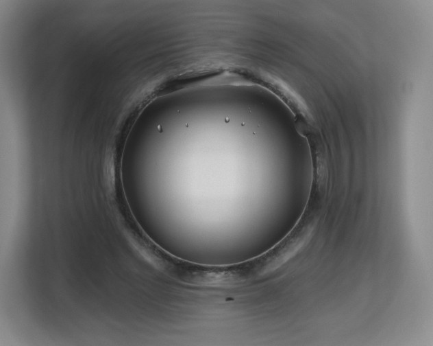 X0000112800493200908211136