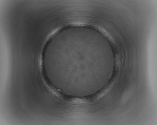 X0000112800494200908211136