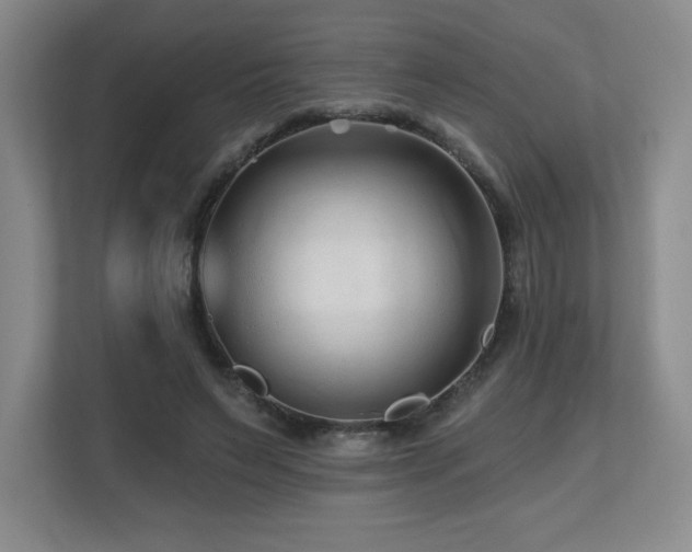 X0000112800495200908211136