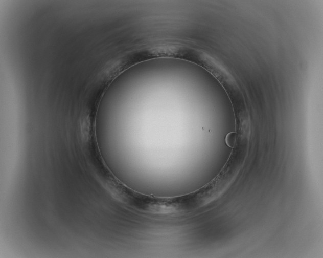 X0000112800498200908211136