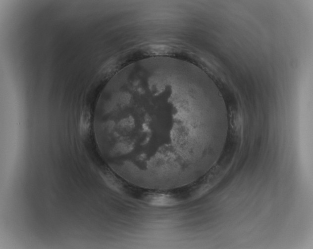 X0000112800507200908211136
