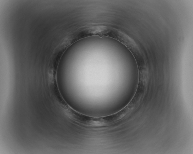 X0000112800510200908211136