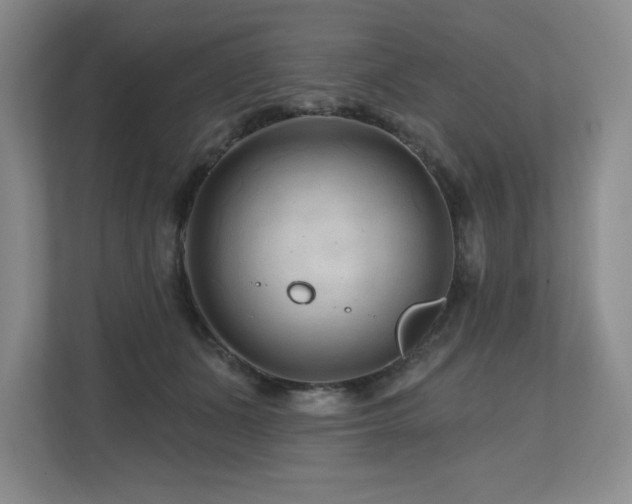 X0000112800511200908211136