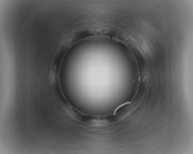 X0000112800515200908211136