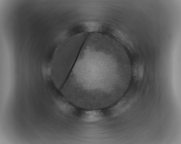 X0000112800516200908211136