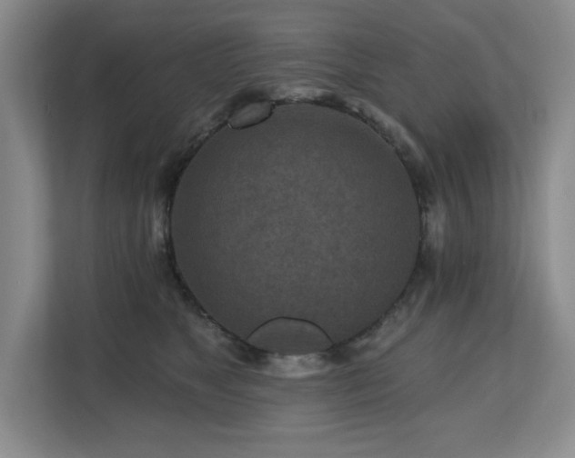 X0000112800517200908211136