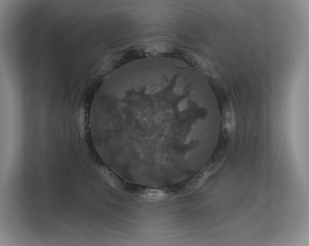 X0000112800519200908211136