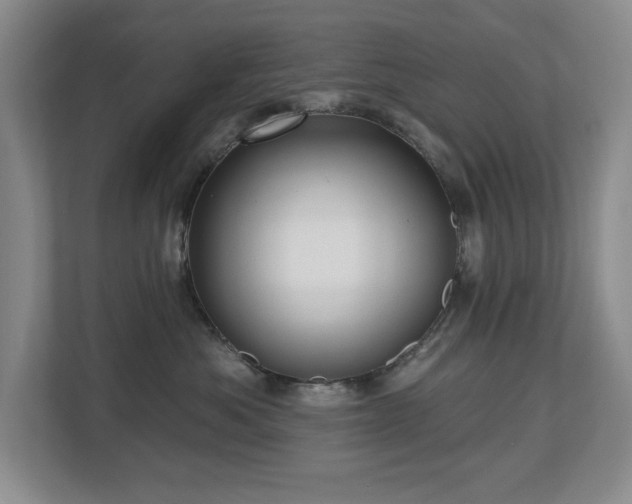 X0000112800525200908211136