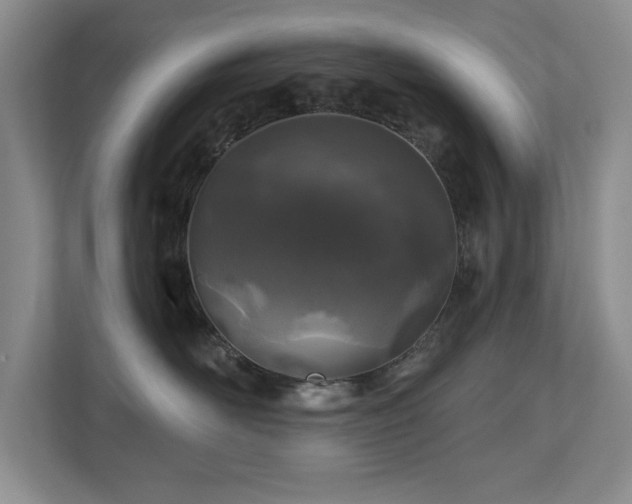 X0000112800526200908211136
