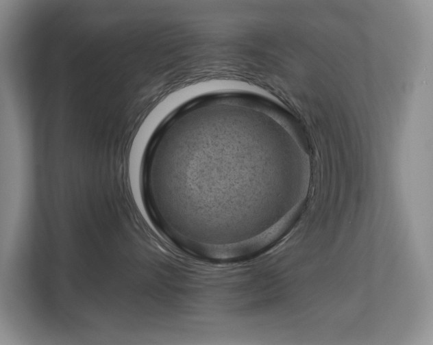 X0000112800528200908211136