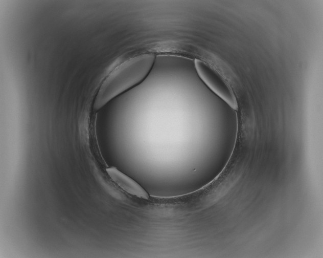 X0000112800530200908211135