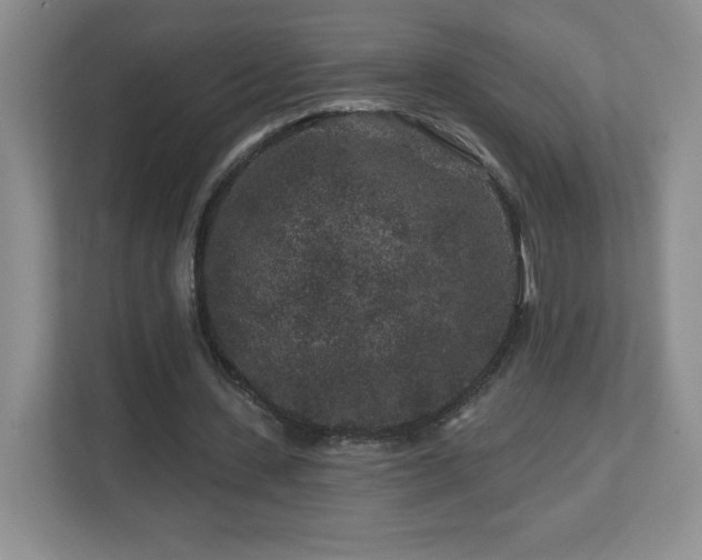 X0000112800531200908211135