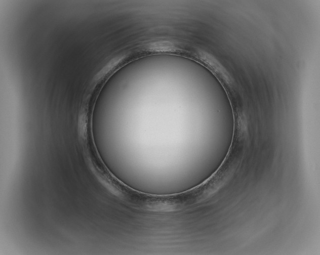 X0000112800533200908211135