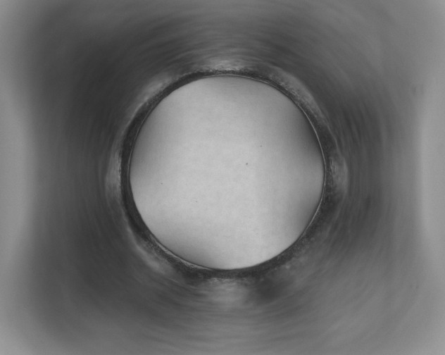 X0000112800534200908211135