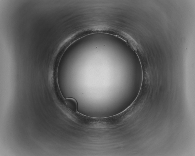 X0000112800535200908211135