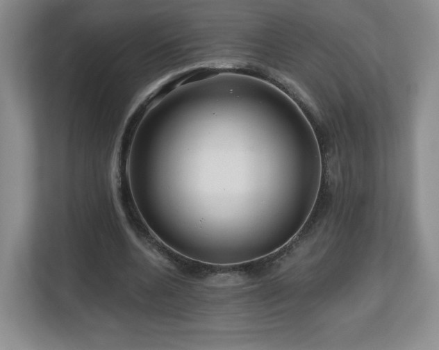 X0000112800536200908211135