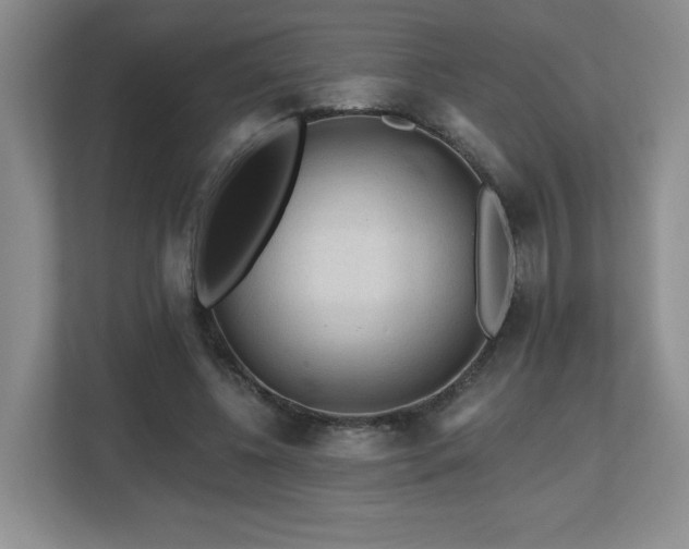 X0000112800540200908211135
