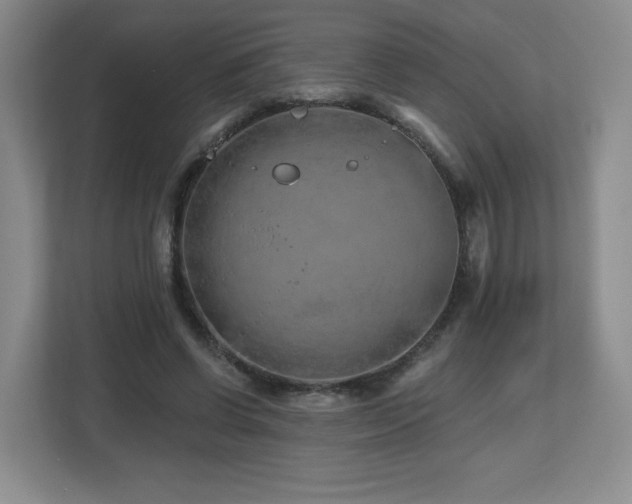 X0000112800542200908211135
