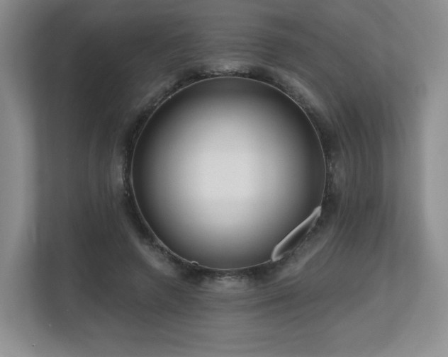 X0000112800546200908211135