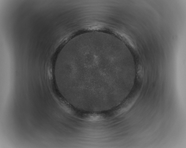 X0000112800547200908211135