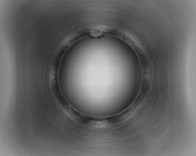 X0000112800548200908211135