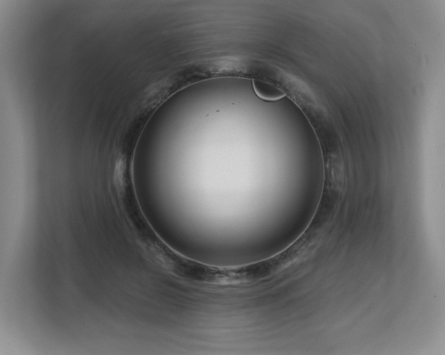 X0000112800550200908211135