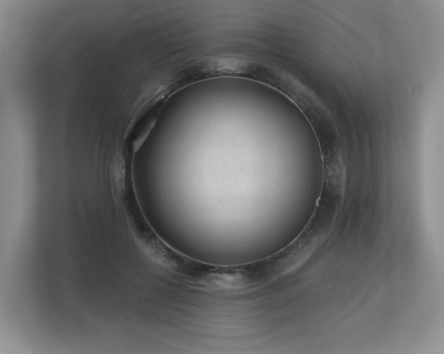 X0000112800552200908211135