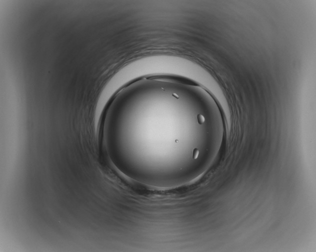 X0000112800556200908211135