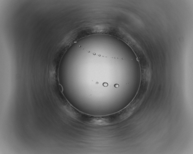 X0000112800557200908211135