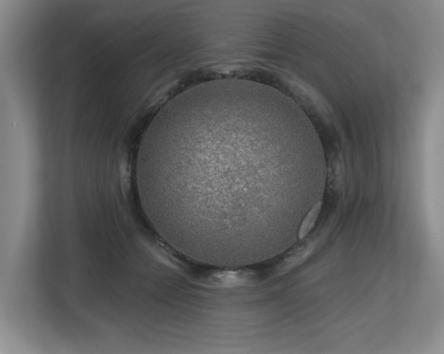 X0000112800558200908211136