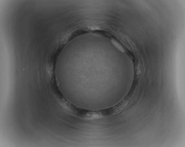X0000112800559200908211136