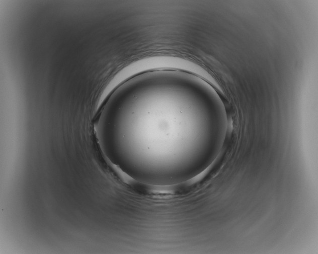 X0000112800560200908211136