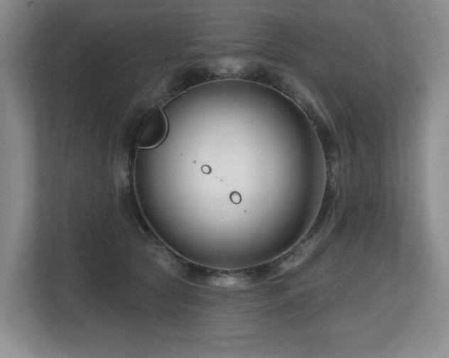 X0000112800561200908211136