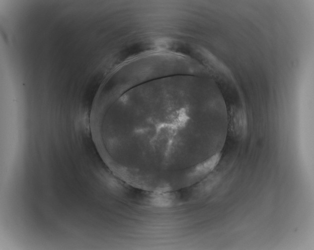 X0000112800562200908211136