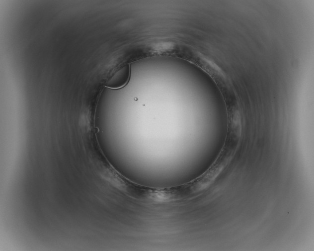 X0000112800565200908211136