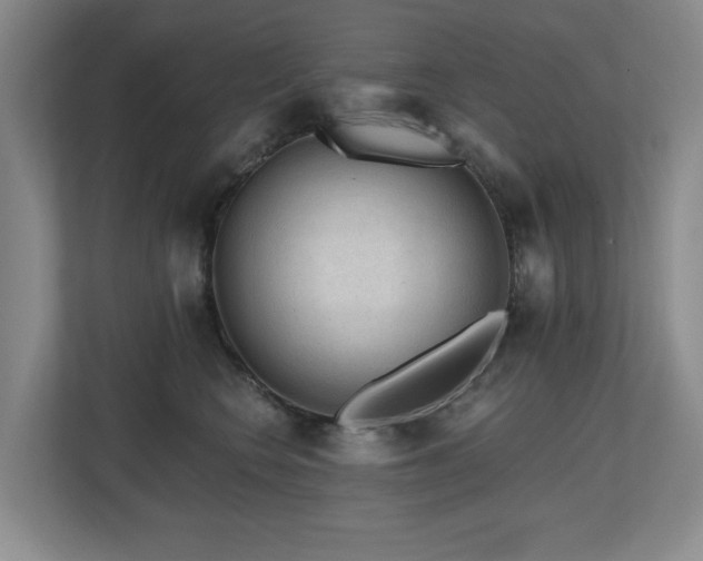 X0000112800566200908211136