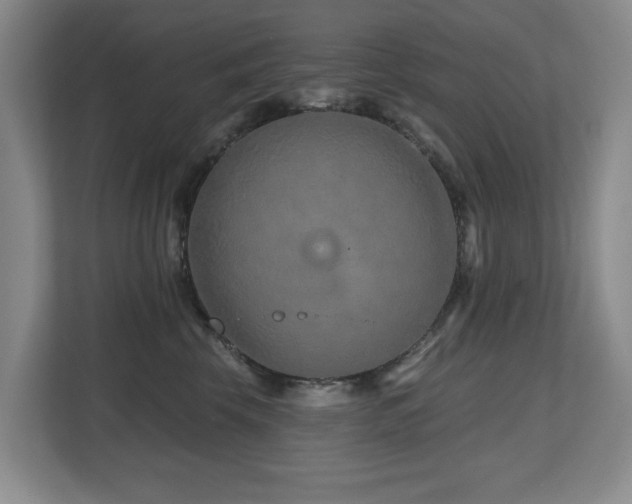 X0000112800569200908211136