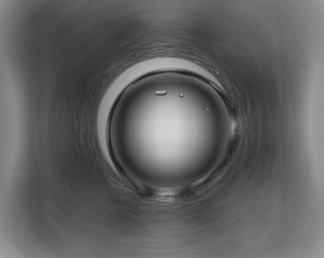 X0000112800570200908211136