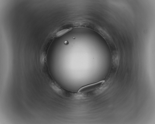 X0000112800574200908211136