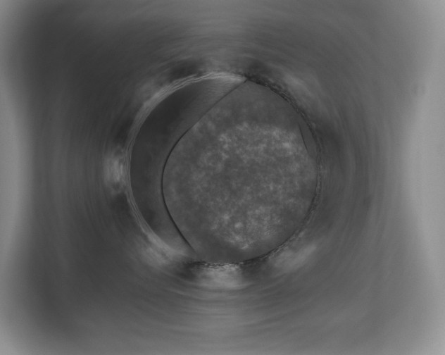 X0000112800576200908211136