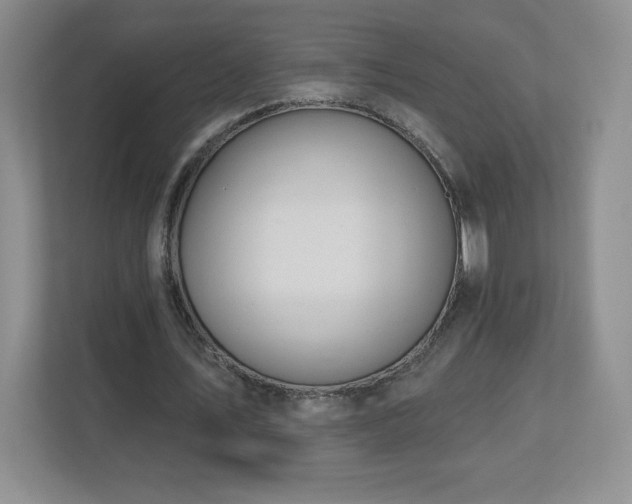 X0000112800579200908211135