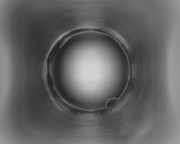 X0000112800580200908211135