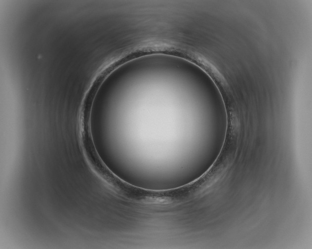X0000112800582200908211135