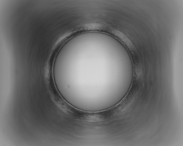 X0000112800583200908211135