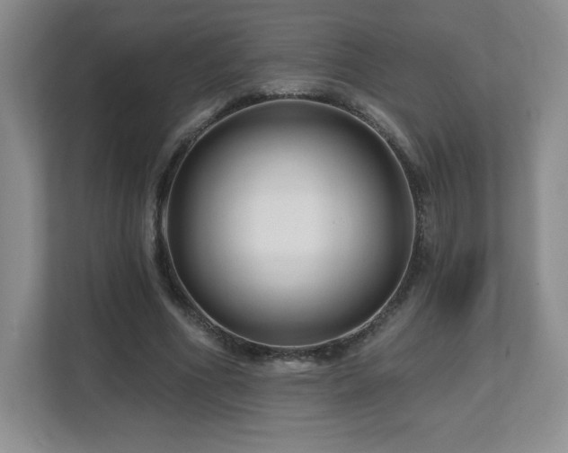 X0000112800586200908211135